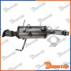 Filtres à Particules Diesel EURO6 pour NISSAN | DPF-PL-013, 8LG366071-381
